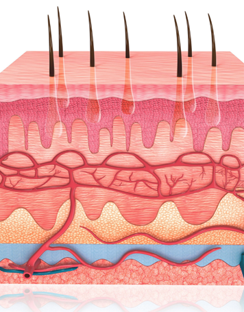 Aesthetische Behandlung Frau